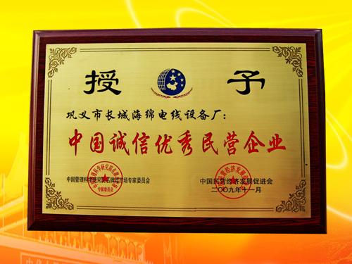 中國誠信優(yōu)秀民營企業(yè)