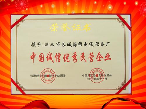 中國誠信優(yōu)秀民營企業(yè)